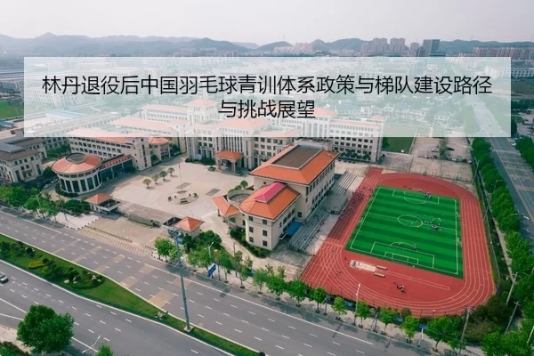 林丹退役后中国羽毛球青训体系政策与梯队建设路径与挑战展望